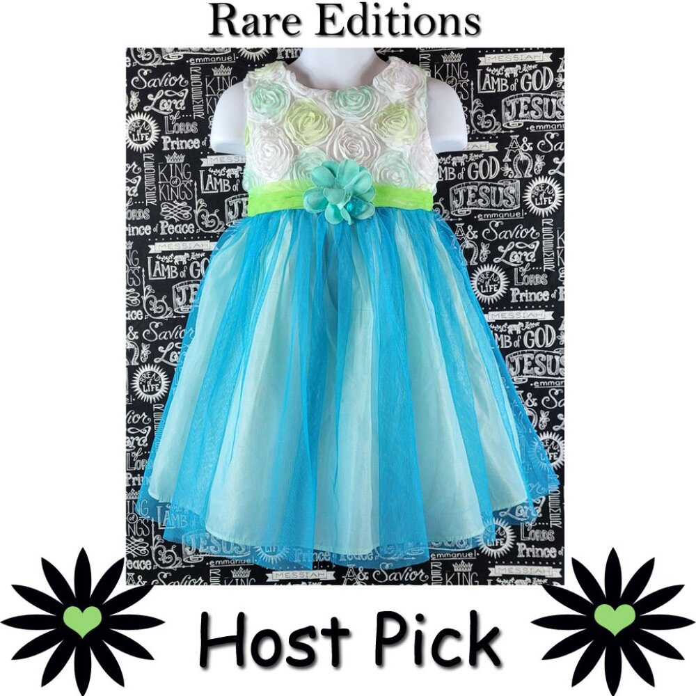 Rare Editions Tulle Dress Size 4T